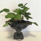 Cast-iron Medici vase