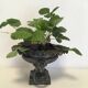Cast-iron Medici vase