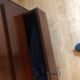 Louis Philippe mahogany chest of drawers