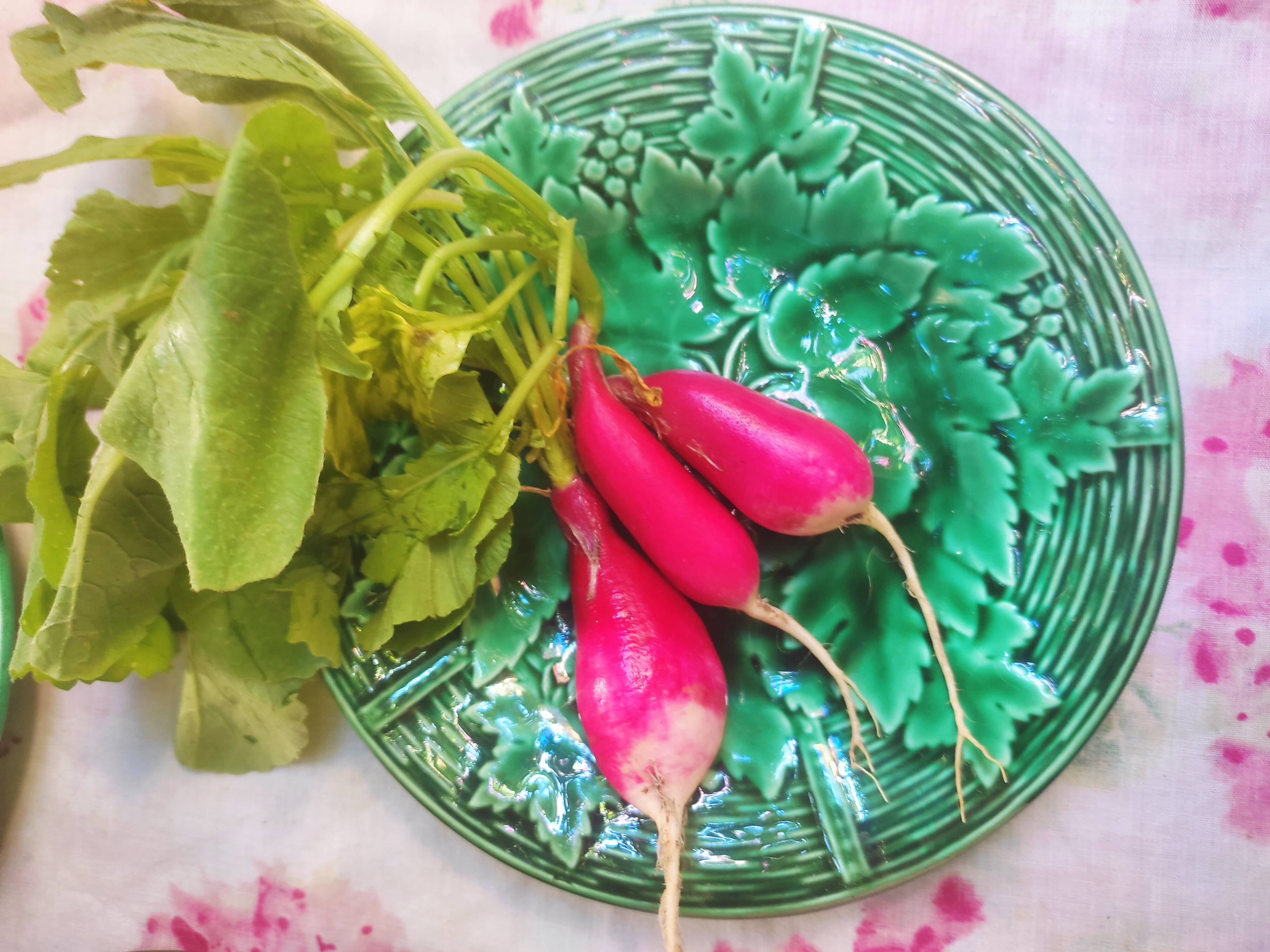 5 plates vine and basketry in slurry by Gien