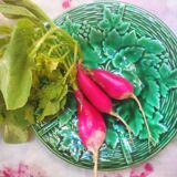 5 plates vine and basketry in slurry by Gien