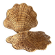 Shell jewelry box