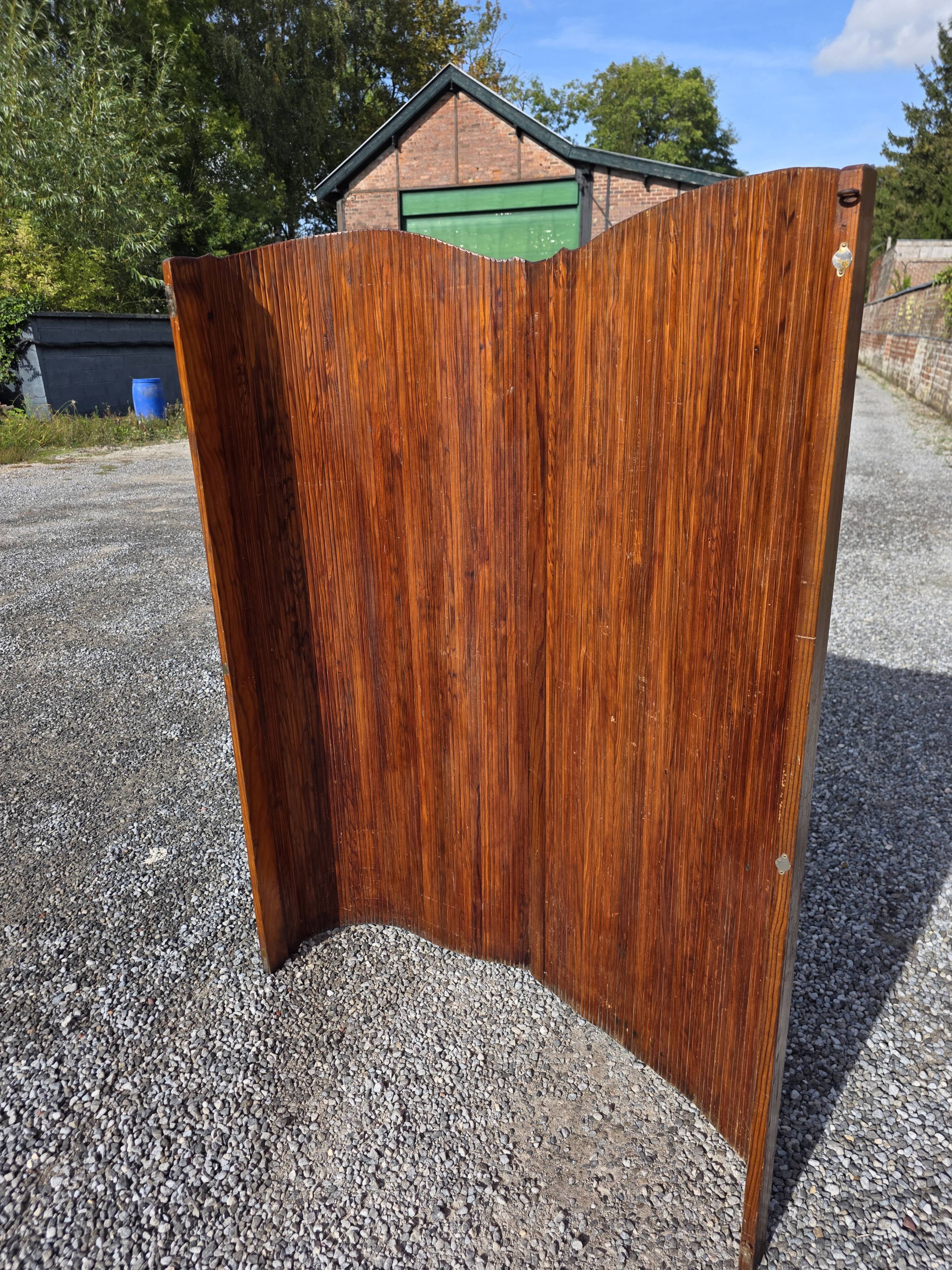 Screen Baumann 146cm L, 150cm H