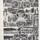 Illustration Millot "Gardens (ornamental trees)"