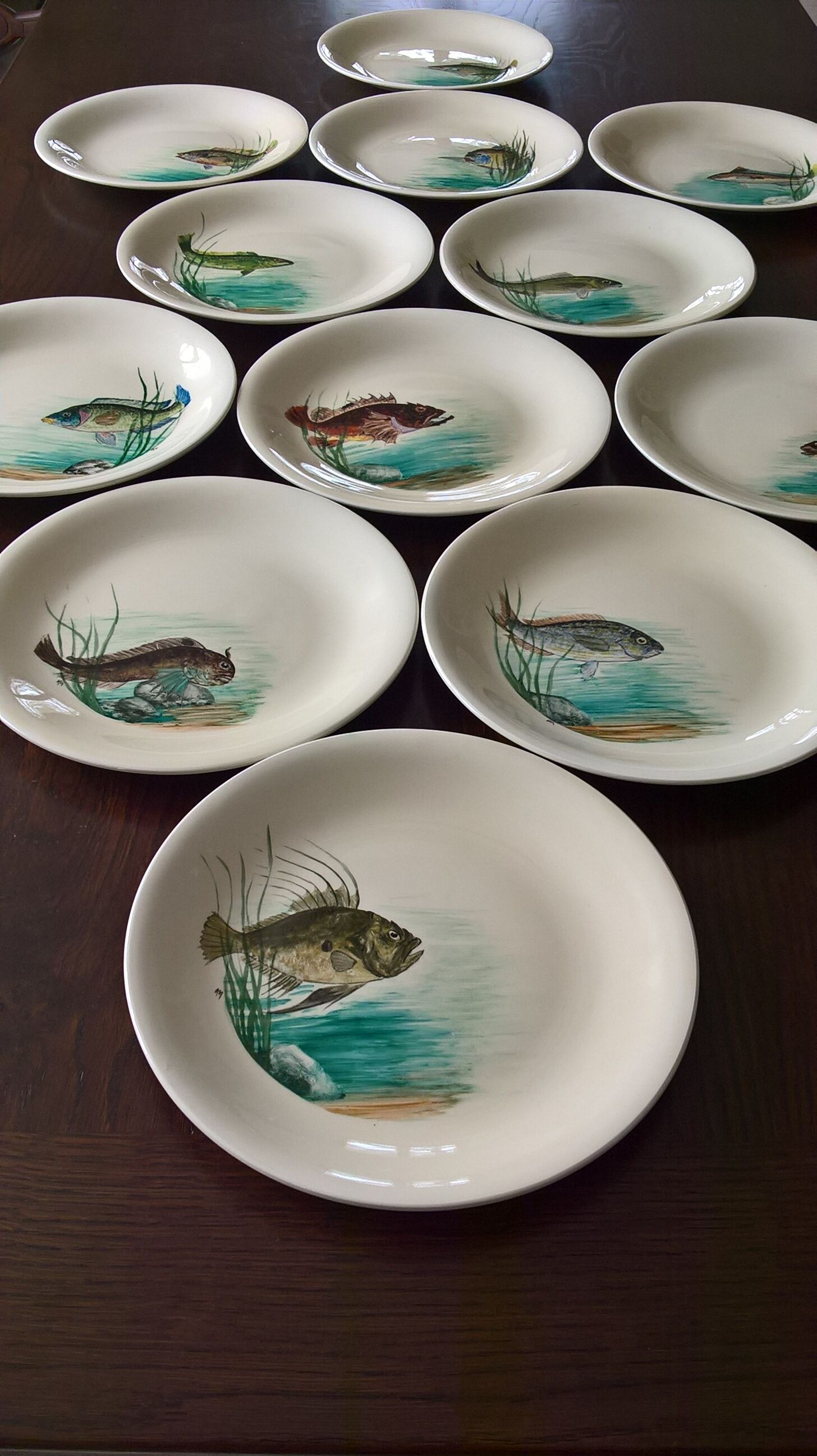 12 fish plates Proceram Cerel Aubagne, 1950s