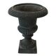 Medici Pot