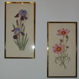 Pair of floral lithographs