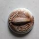 Shell service in slipware