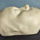 Plaster head
