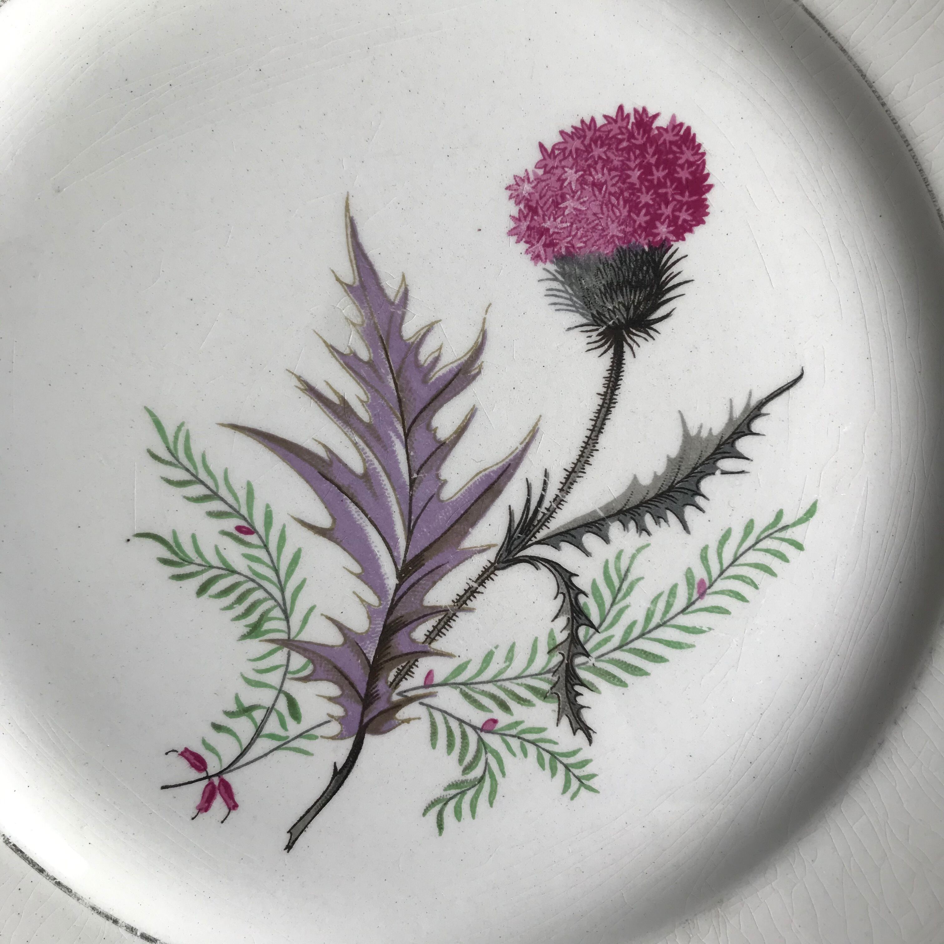 Series of 6 vintage plates