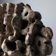 Large organic glazed stoneware sculpture with coral shapes, signed, 2002