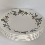 Royal China Vigo porcelain soup plates