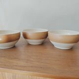 Sandstone bowls of the Scarpe