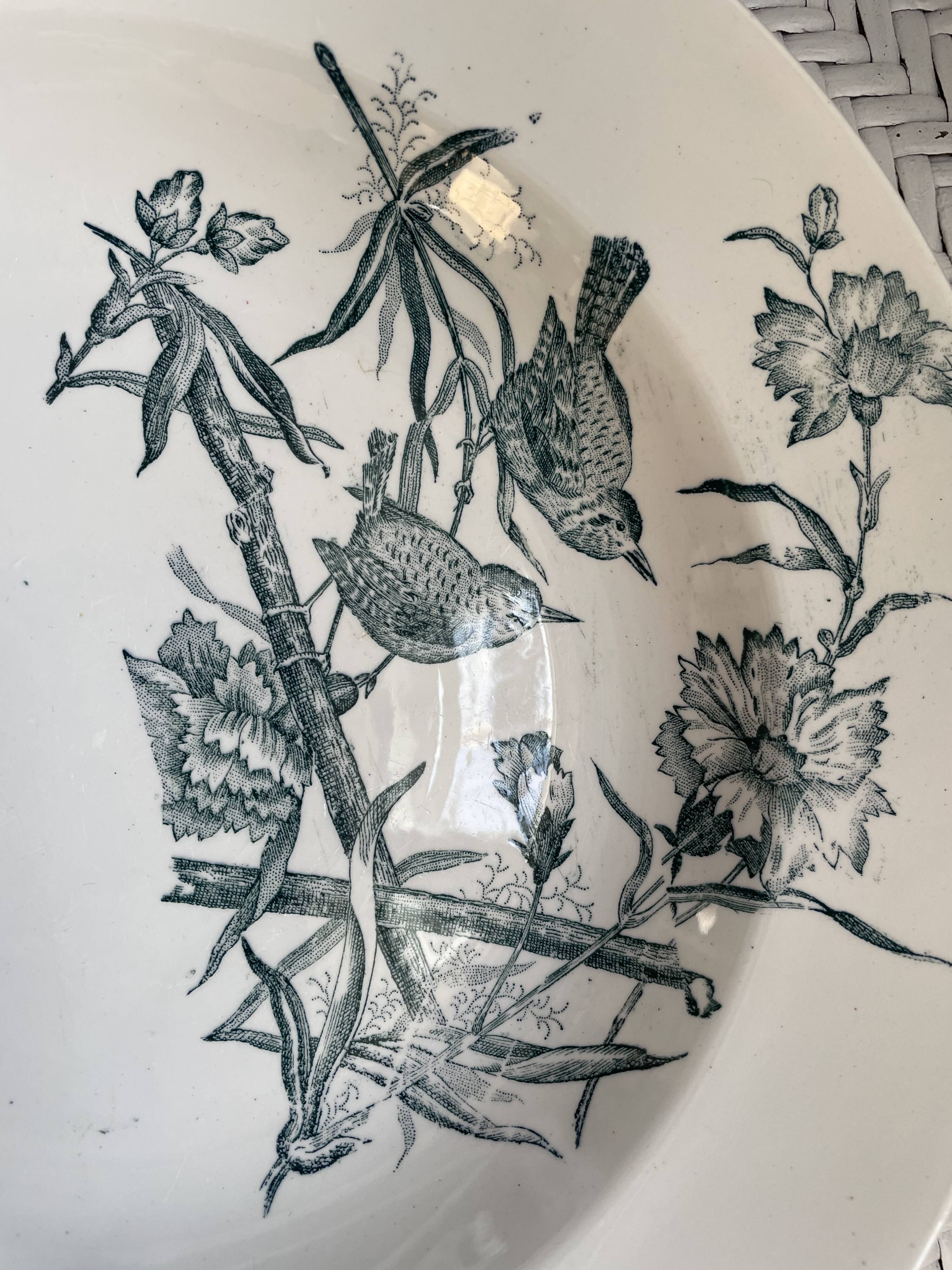 Hollow dish Saint Amand & Hamage "Aucella"