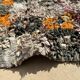 Colorful Boucherouite Berber rug - 129 x 160 cm