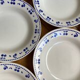 Vintage deep plates with blue cherry decor