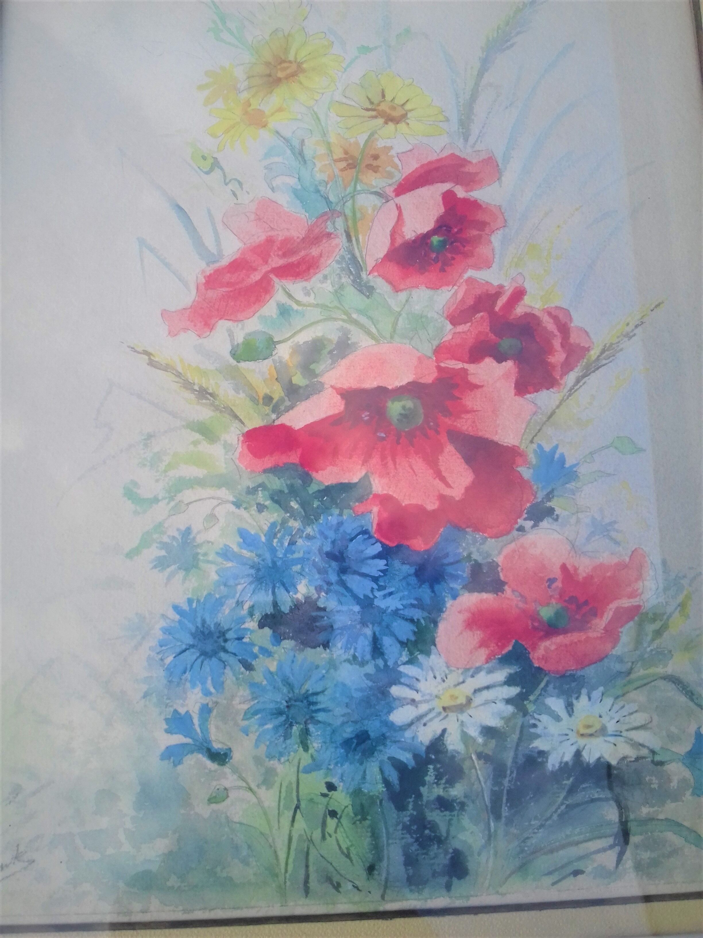 Watercolor poppies, blueberries and maguerites
