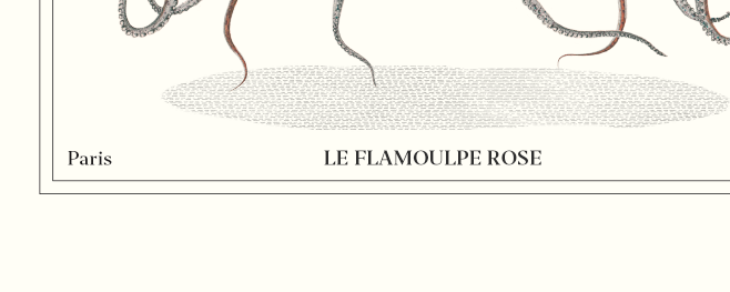 Set of 2 framed chimera lithography animal engraving