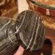 Pair of black serpentine marble vase-urns, early 20th century, Empire style