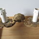 Sconce golden brass candlestick