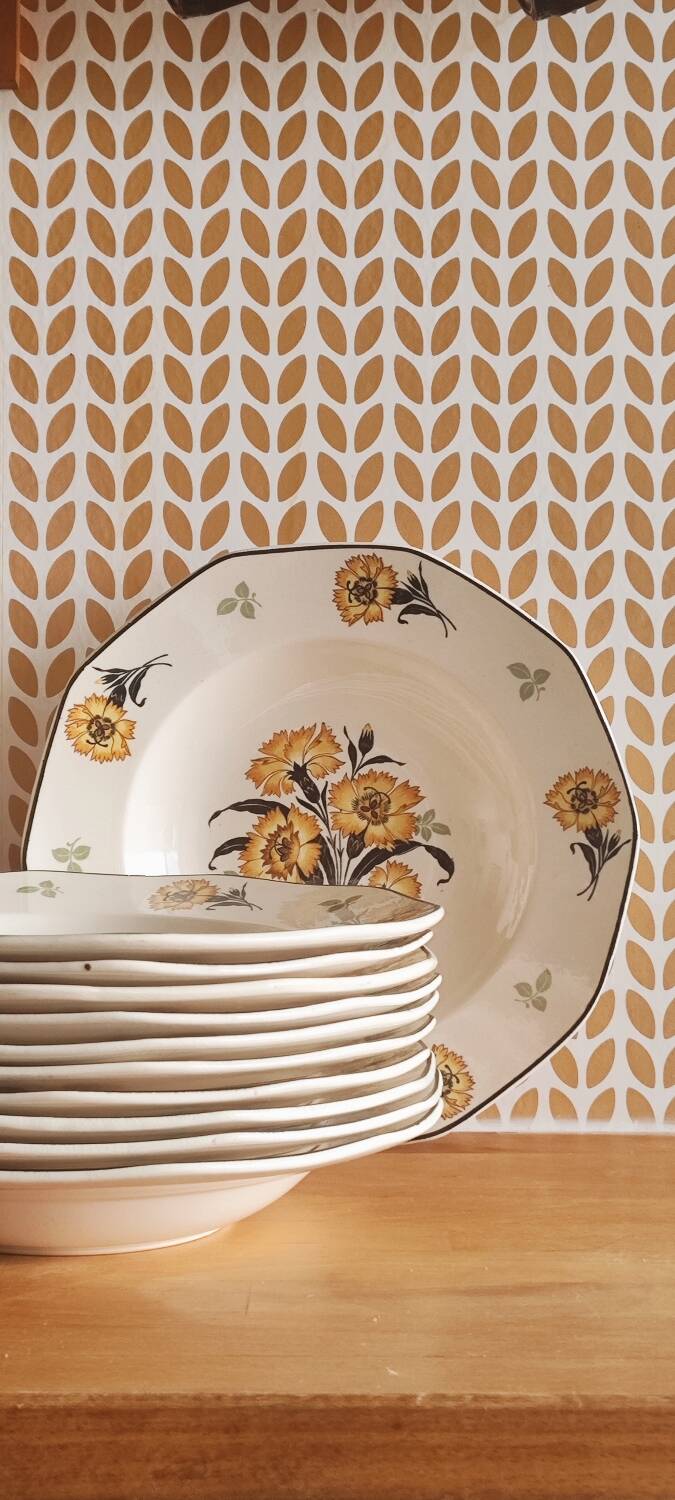 Old Abbey Ware Trianon Saar V& B.M. soup service.