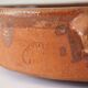 Terracotta dish