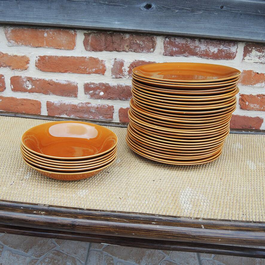 Antique earthenware dinner service from Salins (36 pcs)