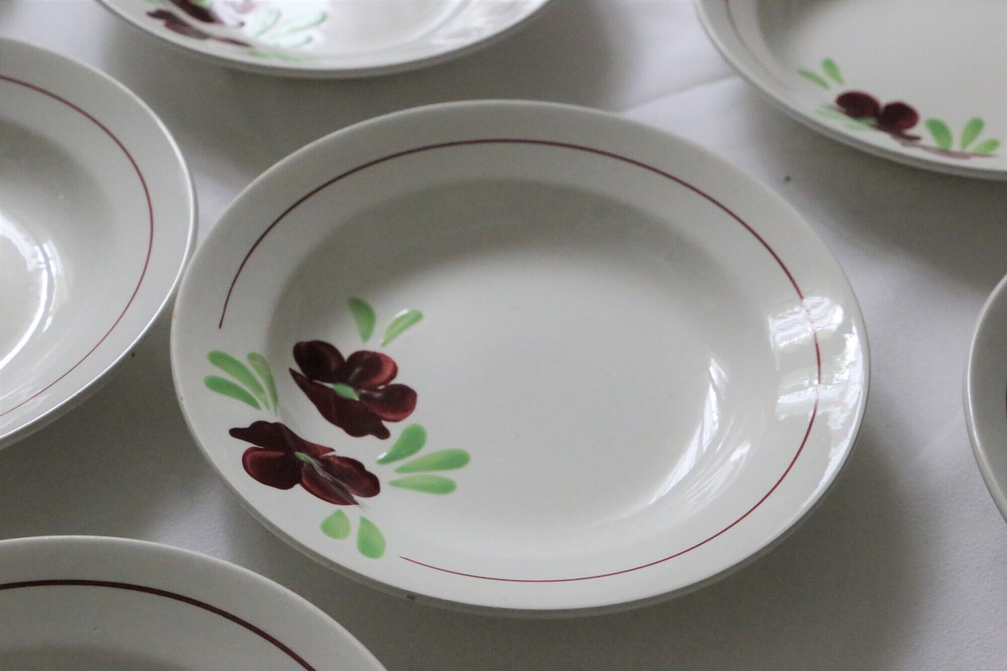 Set of 9 Salins hollow plates, Ninon pattern, French vintage, authentic, rare, countryside
