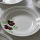 Set of 9 Salins hollow plates, Ninon pattern, French vintage, authentic, rare, countryside