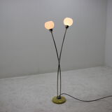 Vintage floor lamp by Kamenický Šenov, Czechoslovakia, 1950s