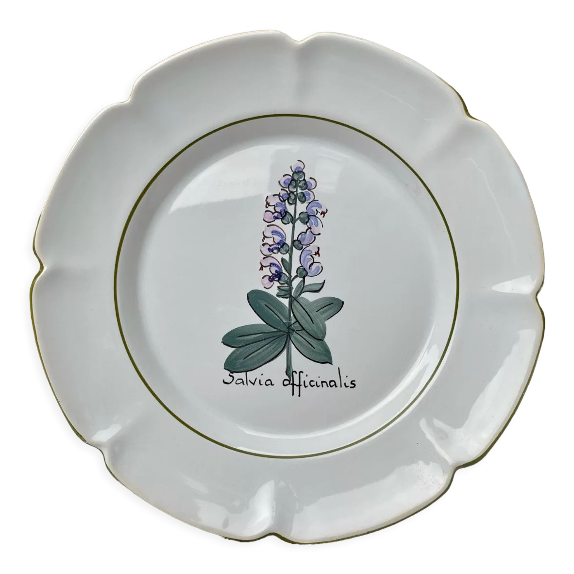 Assiette décor plante médicinale Charolles