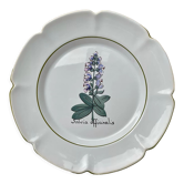Plate decoration medicinal plant Charolles