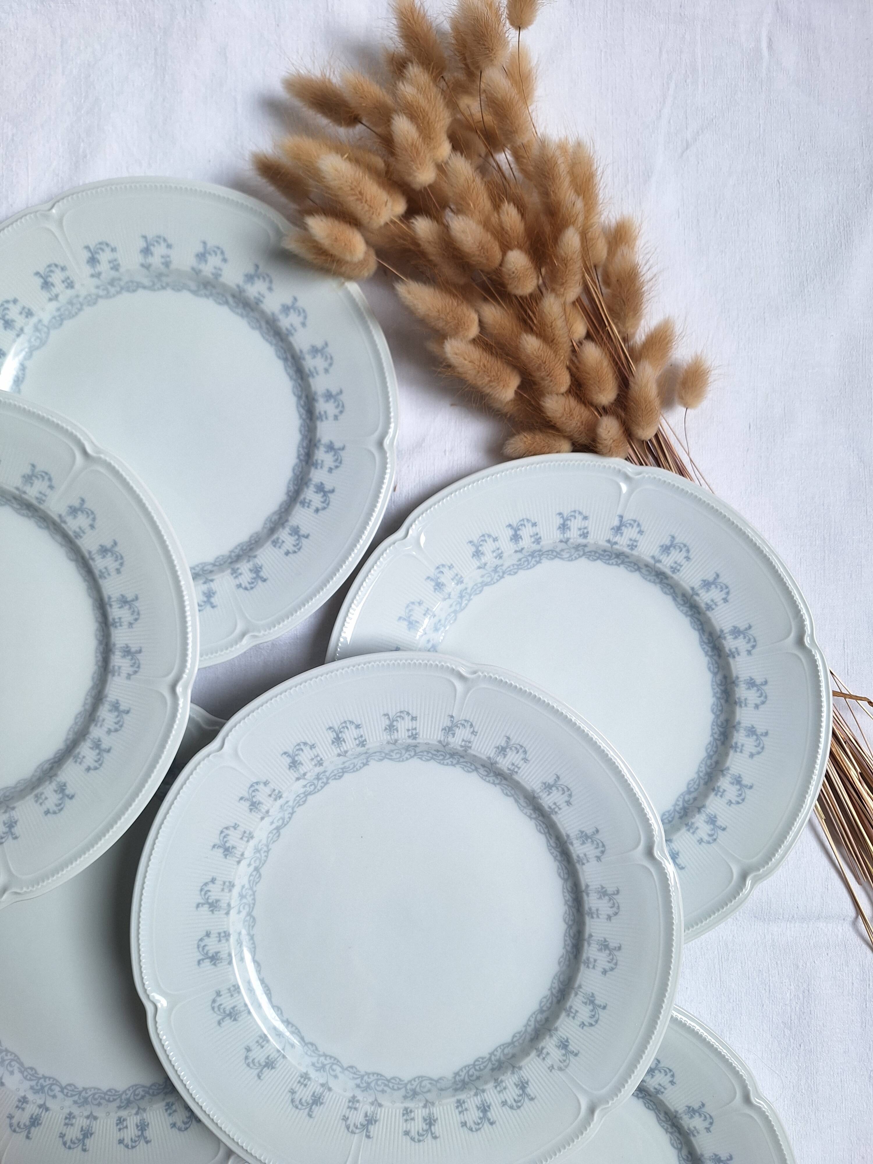 Limoges porcelain flat plates