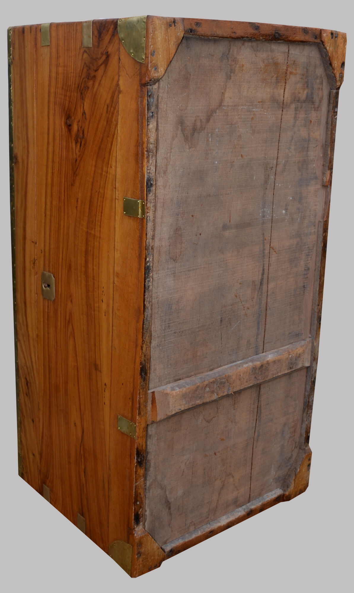 Chest in camphor tree