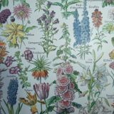 Lithographie gravure sur les fleurs datant de 1905