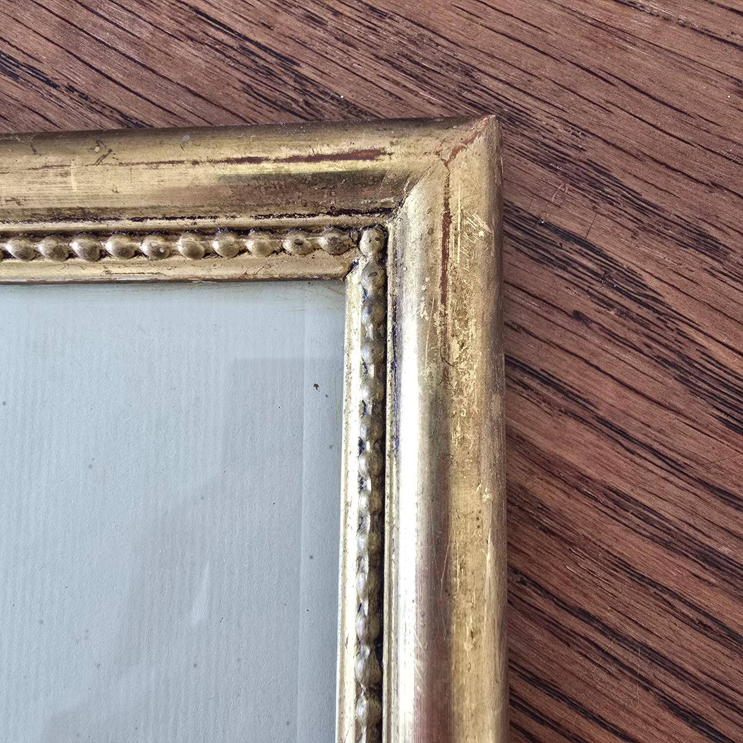 Antique botanical frame – “Carnation Variety” – Gilded wood