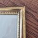 Antique botanical frame – “Carnation Variety” – Gilded wood