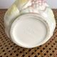 Fruit slip pitcher Salins France