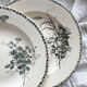 2 “French” ironstone soup plates from Choisy le Roi