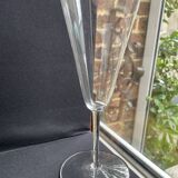 2 Flûtes Baccarat Perfection