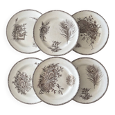 6 assiettes terre de fer sépia | Grand Dépôt de Porcelaines & Faïences