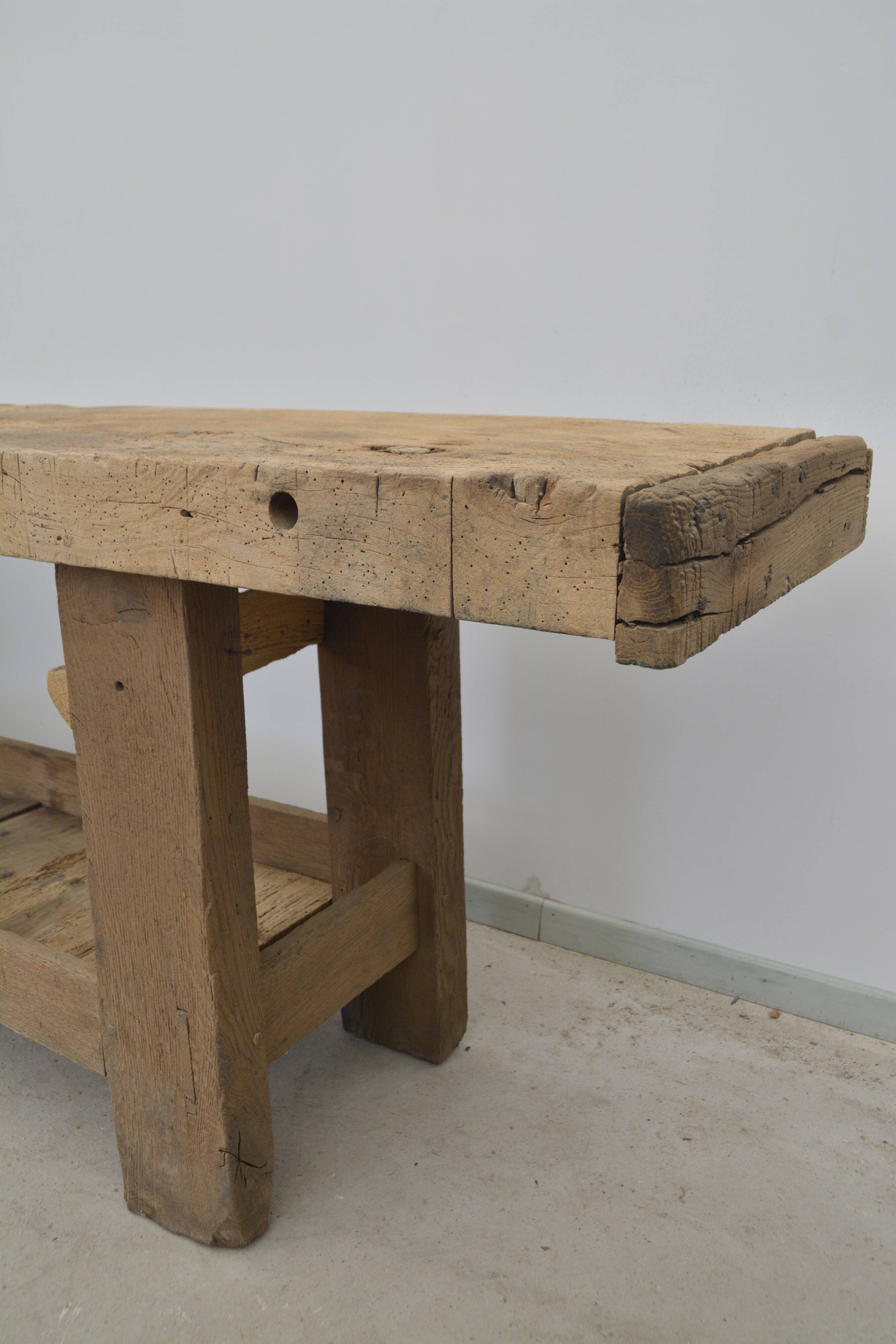 Oak establishment from the 30s