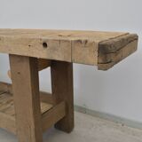 Oak establishment from the 30s