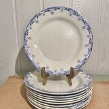 Creil montereau labrador plates