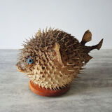 Former Naturalized / Stuffed Diodon