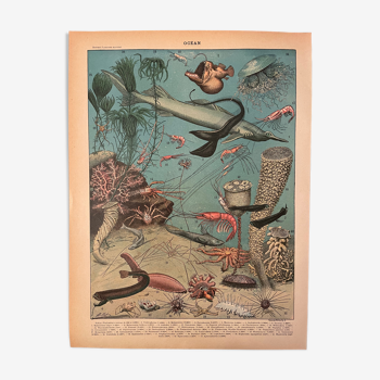 Lithographie gravure océan de 1897