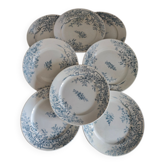 8 assiettes plates