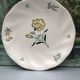 Lots of 6 flat plates model embrun, with floral motifs. Stamped Salins France