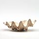 Natural shell dish, 1970s