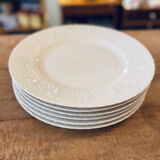 Lot of 6 Limoges plates and Ralph Lauren model Megan.